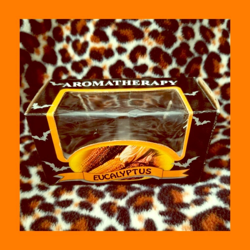 Aromatherapy Eucalyptus Votive Candles Set of 2